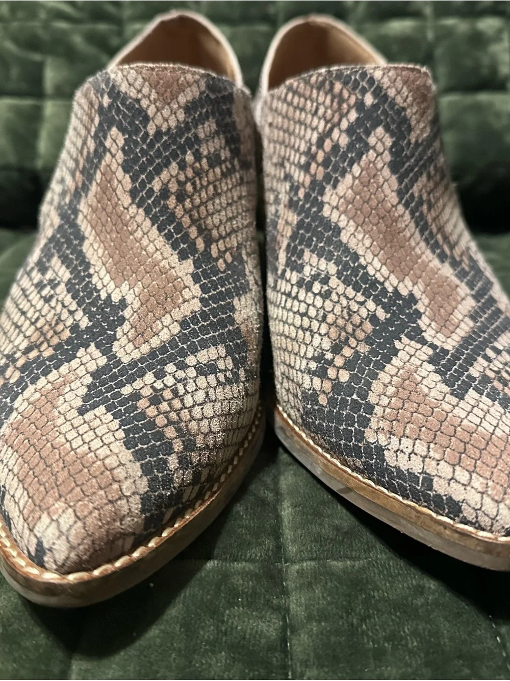 Lucky Brand Pointed Snake-Print Ankle Booties in Taupe and Black
